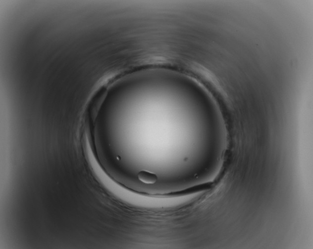 X0000094931218200712061122