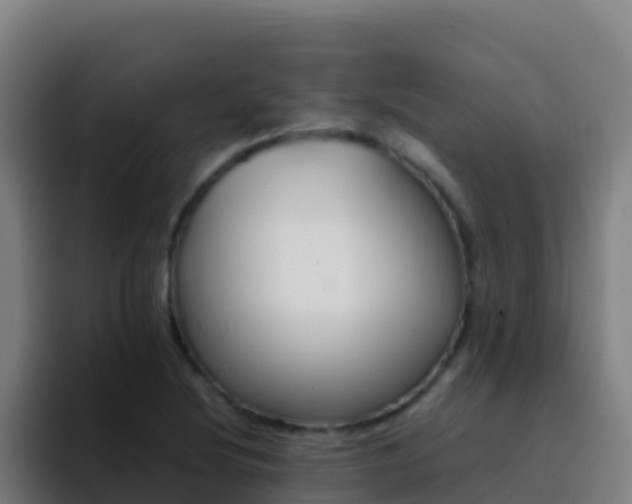 X0000094931220200712061122