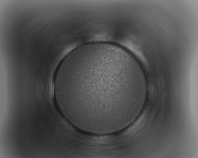 X0000094931221200712061122