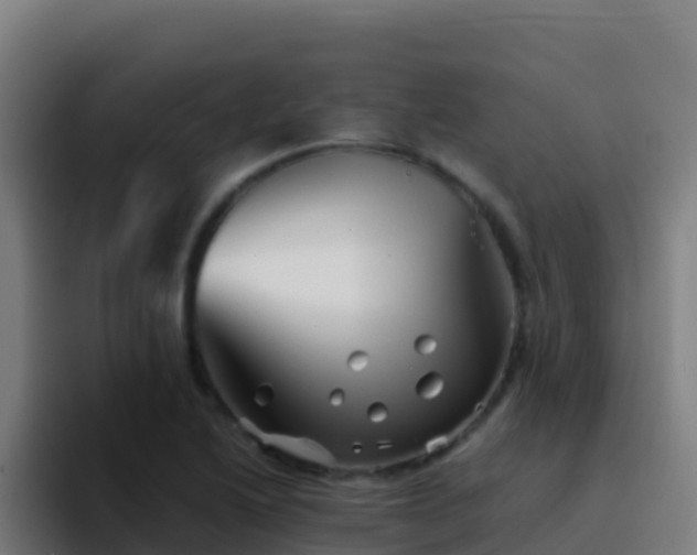 X0000094931222200712061122