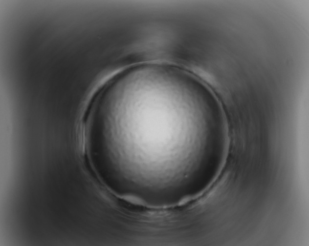 X0000094931223200712061122