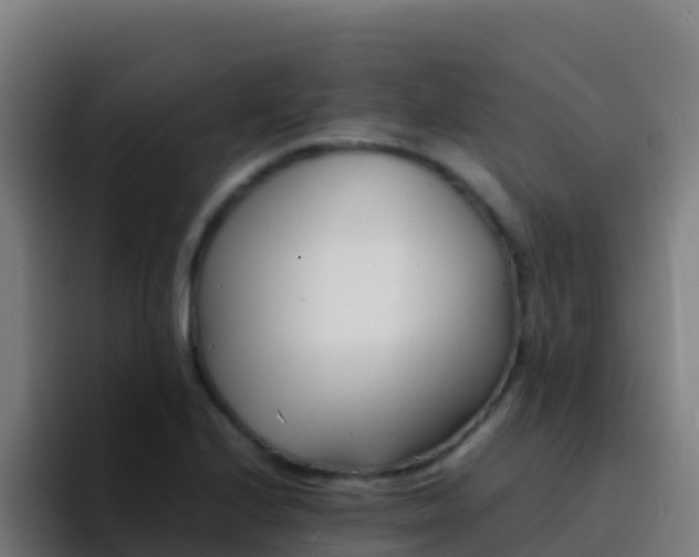 X0000094931224200712061122