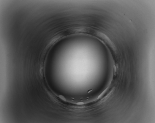 X0000094931225200712061122