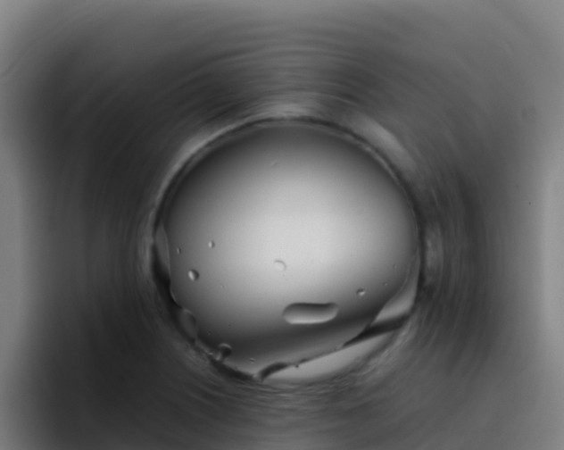 X0000094931226200712061122