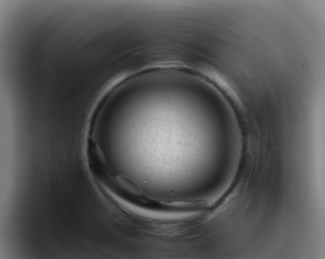 X0000094931229200712061122