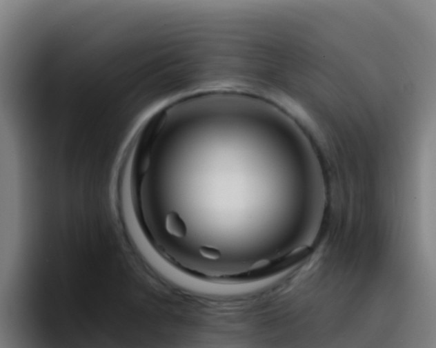 X0000094931230200712061122