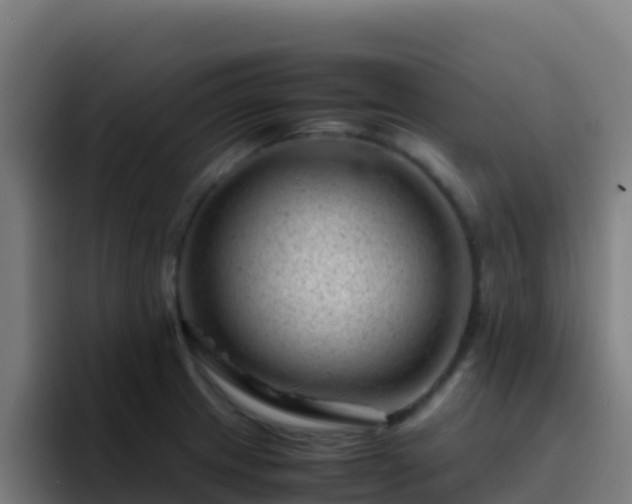 X0000094931233200712061122