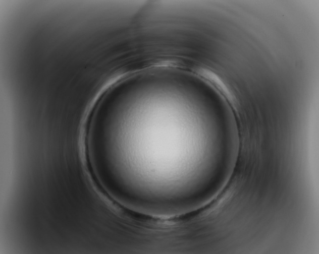 X0000094931235200712061122