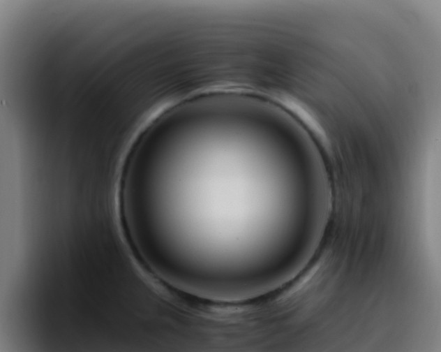 X0000094931237200712061122