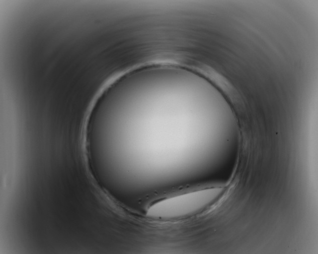 X0000094931240200712061122