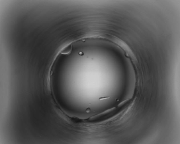 X0000094931242200712061122