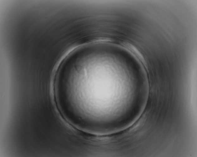 X0000094931243200712061122
