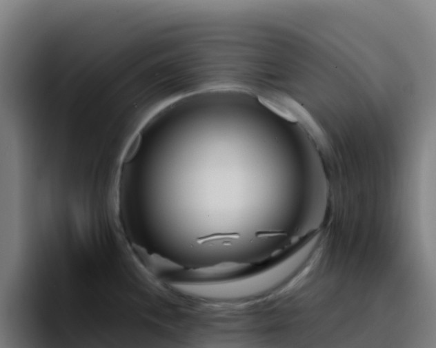 X0000094931244200712061122