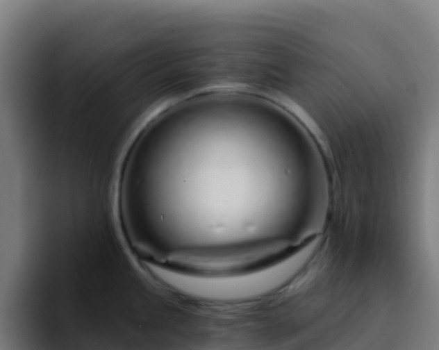 X0000094931245200712061122