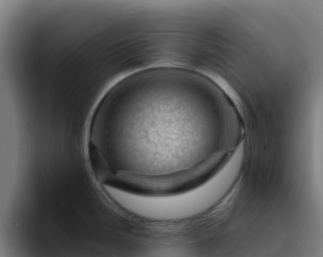 X0000094931246200712061123