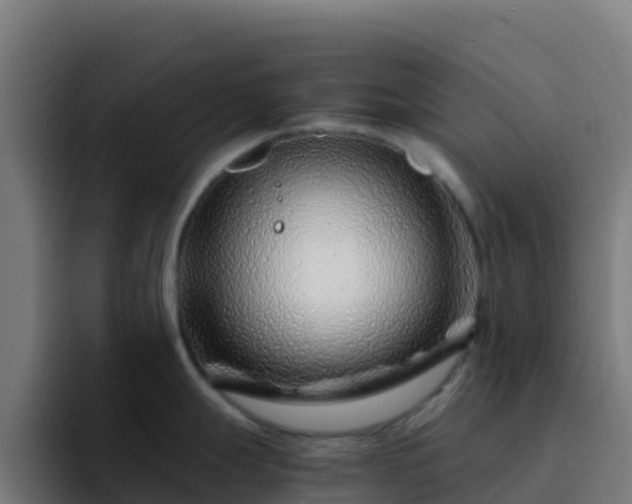 X0000094931247200712061123