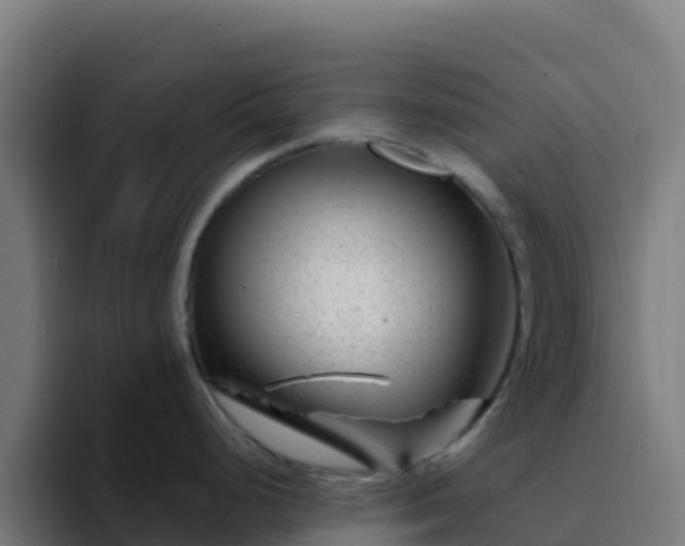 X0000094931248200712061123