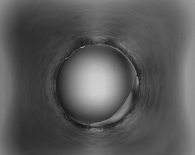 X0000094931249200712061122