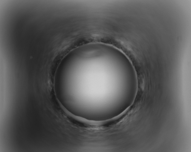 X0000094931253200712061122