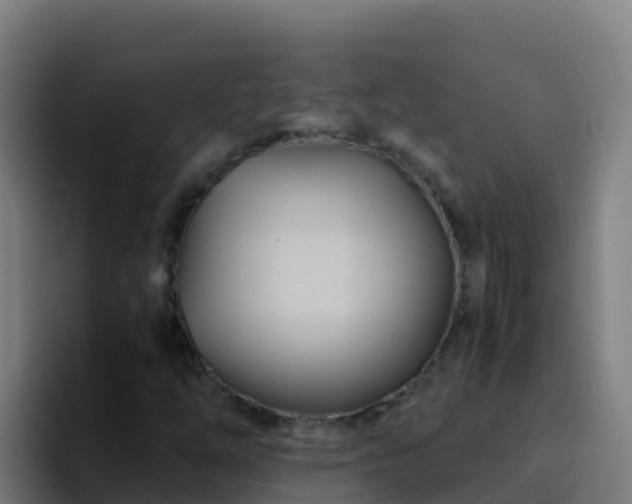 X0000094931254200712061122