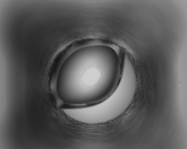X0000094931256200712061122