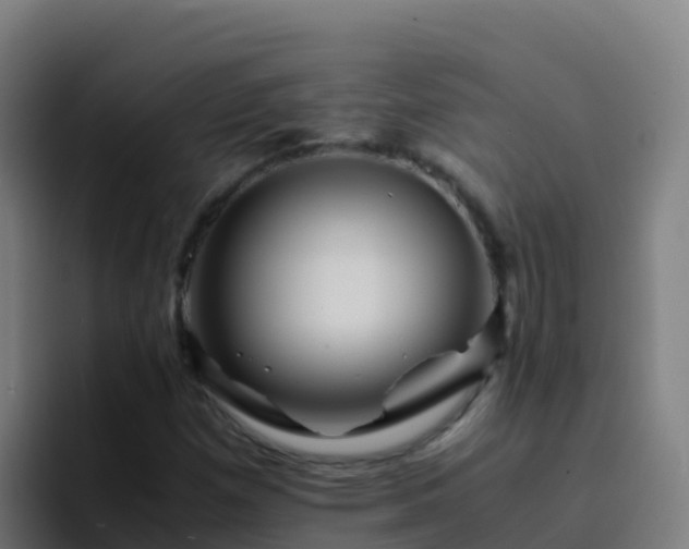 X0000094931257200712061122