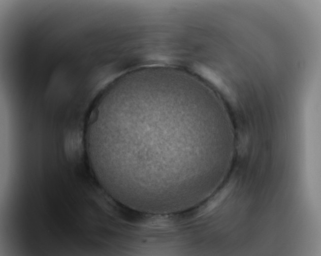 X0000094931259200712061122