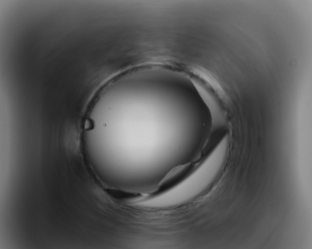 X0000094931260200712061122