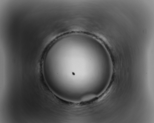 X0000094931263200712061122
