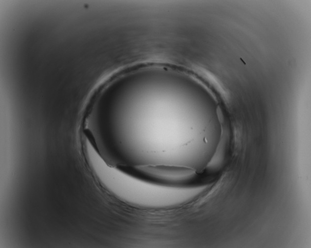 X0000094931264200712061122