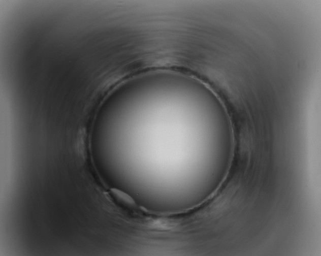 X0000094931265200712061122