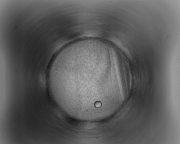 X0000094931266200712061122