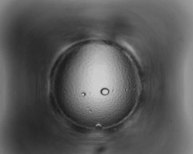 X0000094931267200712061122
