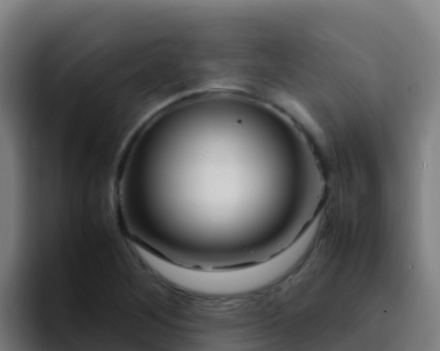 X0000094931268200712061122