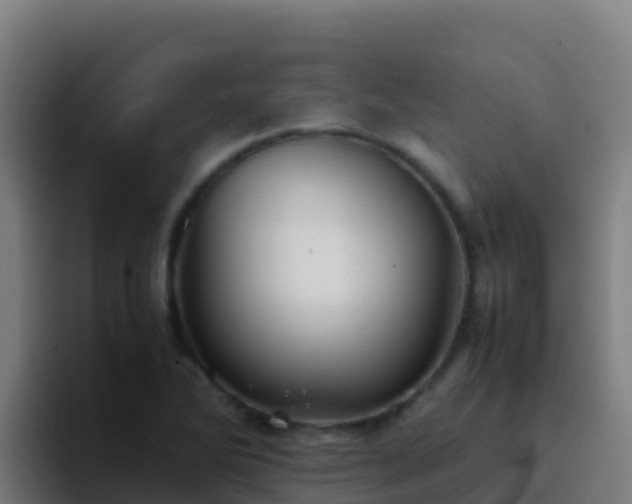 X0000094931270200712061122