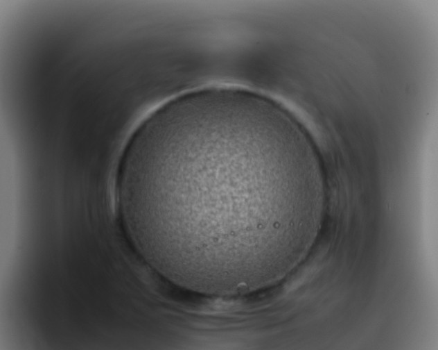 X0000094931271200712061122