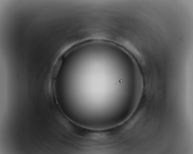 X0000094931272200712061122