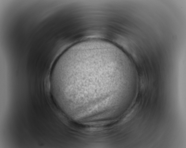 X0000094931274200712061122