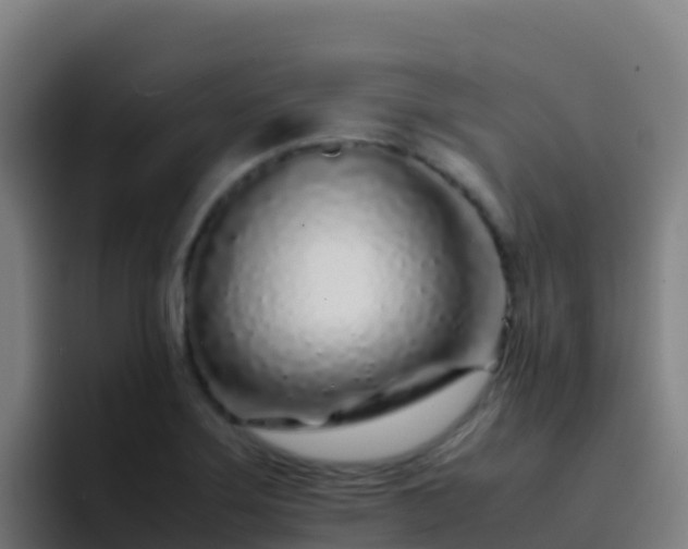 X0000094931275200712061122