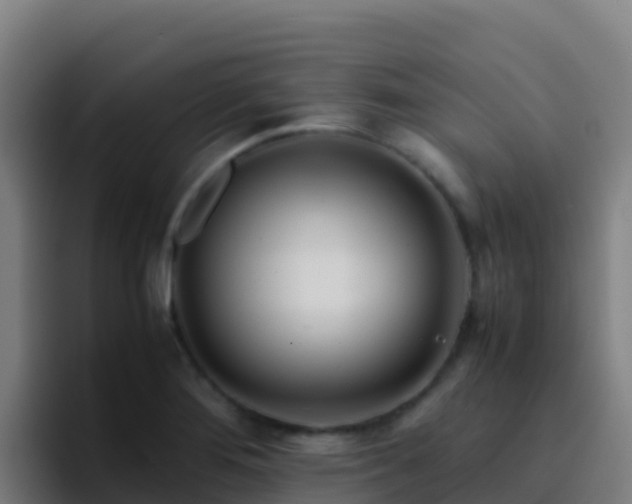 X0000094931276200712061122