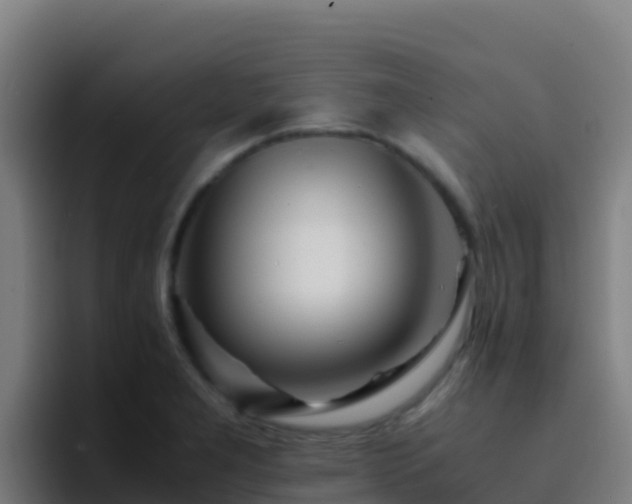 X0000094931277200712061122