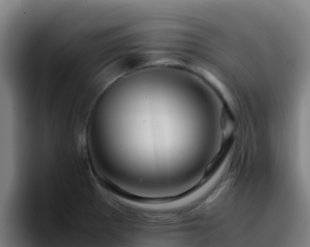 X0000094931281200712061121