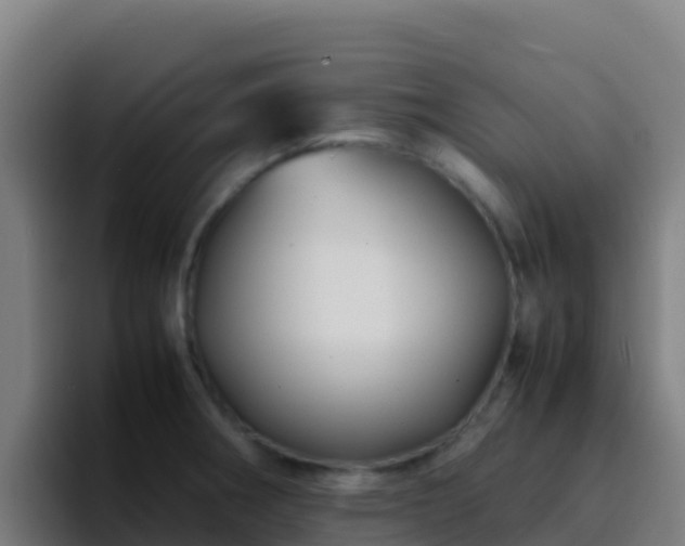 X0000094931282200712061121