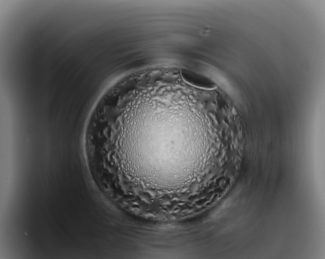 X0000094931283200712061121