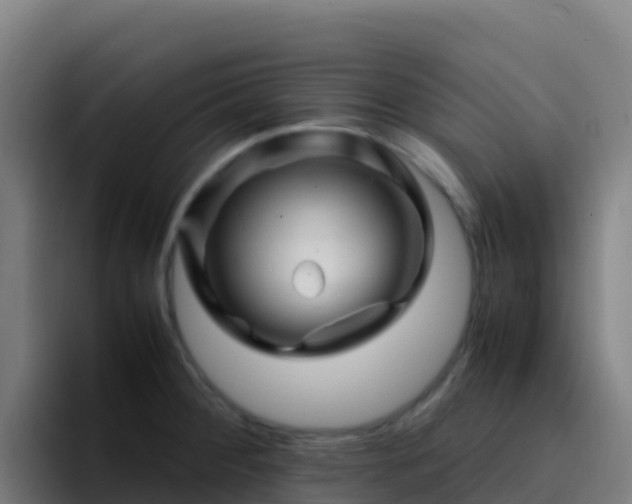 X0000094931284200712061121