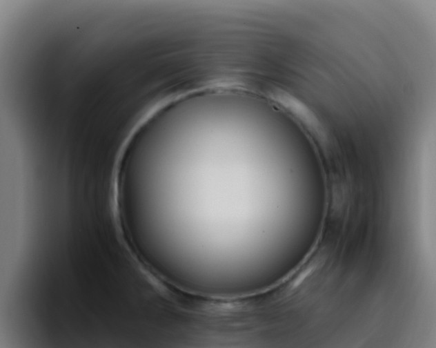 X0000094931286200712061121