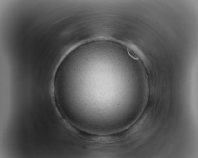 X0000094931287200712061121