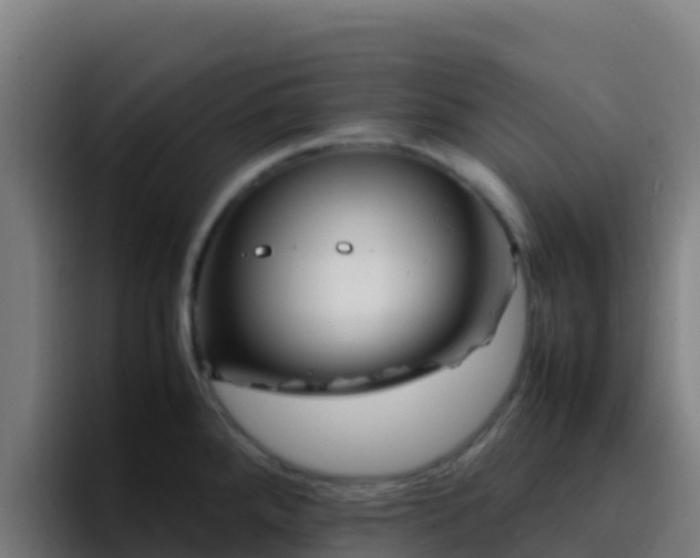 X0000094931288200712061121