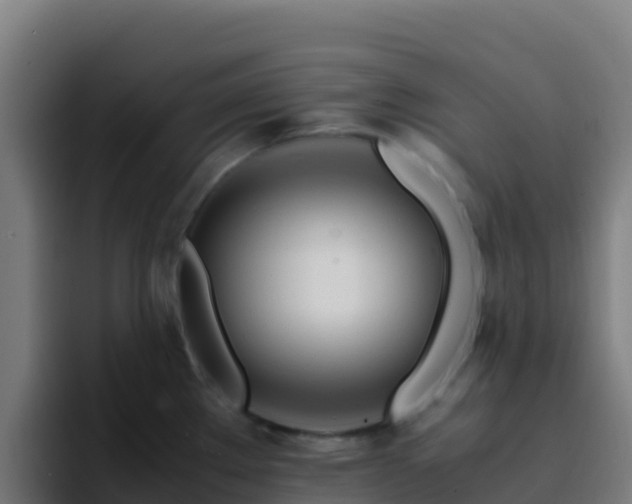 X0000094931289200712061121