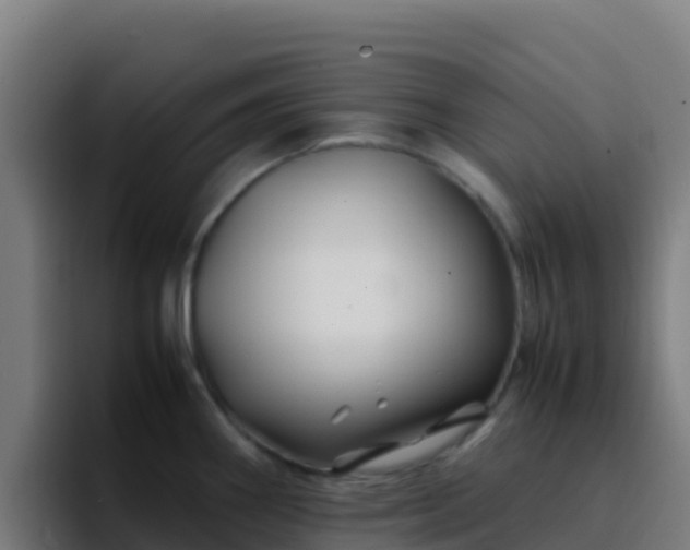 X0000094931290200712061121